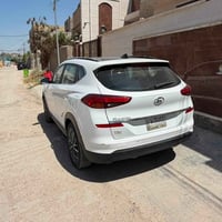 توسان ٢٠٢٠ • بابل جبله • مكفولة