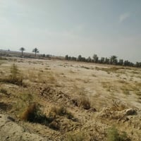 نص دونم • السچر • قرب مجمع الماسه