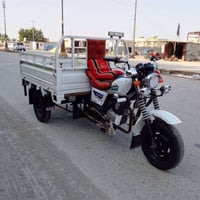 ستوته دايون • موديل 2011 • أوراق أصلية