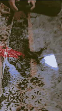 عمري درون كاميرة ومروحه كوره وضروف  هدايه مناسبات ويجود خدمت توصيل.......