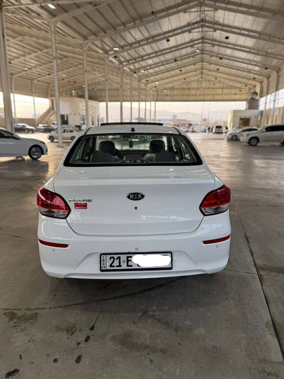 Kia pegas 2020 full
سلاید 
کوشن جلد 
ناو کرێمی 
تحکوماس سوکان کامل
شاشە گەورە
کارپلەی
ئەندرۆید ئەوتۆ
تحدید سورعە
ئاوێنە کارەبای 
ئاوێنە ئیشارەت
بلاجکتۆر
گێر ئۆتۆماتیک 
حاسە
٤ جام کارەبا زۆر مواسەفاتی تر سەیارەکە دەعامی بۆ دەعامی بە شەرت بێ بۆیاخ سفری شەریکە بێ مەسرەف سەنەوی و هەزە هەموو گیانی بەشەرت
106$ گەلا
*********** السليمانية, العراق
