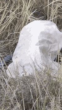 كاع خمسة دونم وبيت بيه غرفتين وصاله ومطبخ صيحيات اربعه متوفر بي كهرباء وماي اساله ميزانيه كاع بيه 40نخله و رمان 18نبكايه وتين وعنب وتكيه 18مشمشه بيه ماي برينه وماي اساله و كهرباء رقم ***********عنوان منطقة عزيز الله جاي من عزيز الله بكلوين يم مدرسه الزياتكاع خمسه دونم وبيت بيه غرفتين وصاله ومطبخ صيحيات اربعه متوفر بي كهرباء وماي اساله ميزانيه كاع بيه 40نخله و رمان 18نبكايه وتين وعنب وتكيه 18مشمشه بيه ماي برينه وماي اساله و كهرباء رقم ***********عنوان منطقة عزيز الله جاي من عزيز الله بكلوين يم مدرسه الزيات
