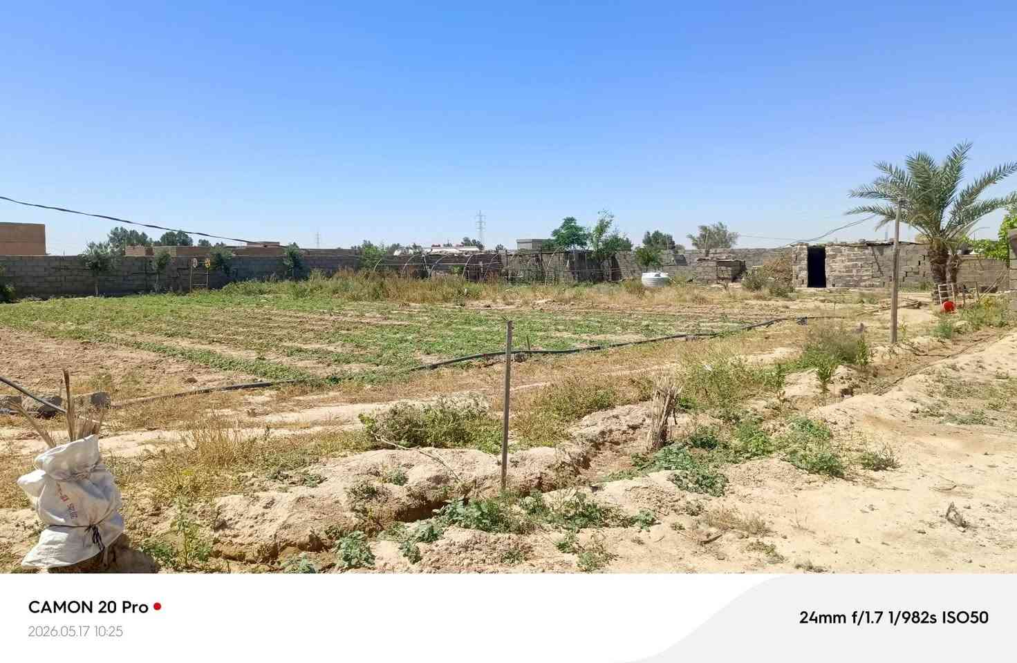 سلام عليكم بيت للبيع اربع قرف ومطبخ وربعه خارجيه وقطعت ارض مسيجه مزرعه ***********
