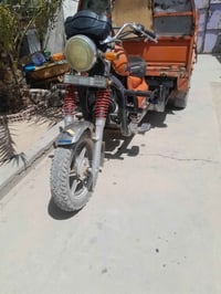 فرس 2018اوراق استنساخ بلزبير سعرها 850واتساب 07821599749
