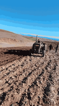 للبیع خرماشە شفت حجم 11 جاهز عل شغل سعري 500الف مجال مکان بردارش رقم موبەیل *********** اسیا ***********
شراي خابرني
