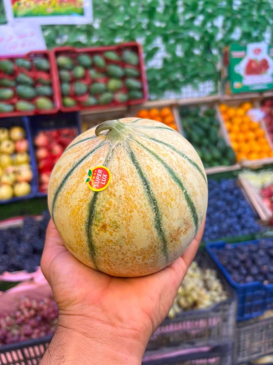 بطيخ شمام عسل 
بقالــــــيتنا ترحب بكم 
مجاور مكتبه كريم ناصر الحجيمي 📍
يوجد خدمه توصيل 🚚 
حياكم الله


**إذا كنت صاحب هذا الإعلان وتريد حذفه لأي سبب، رجاءا أرسل رسالة إلى الدعم الفني**