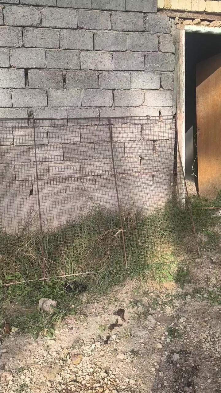 قمريه 
واجهات مال قفاصه 
وبوري شخاط الكل للبيع 
اطي سعر وبلعافيه عليك 
***********
