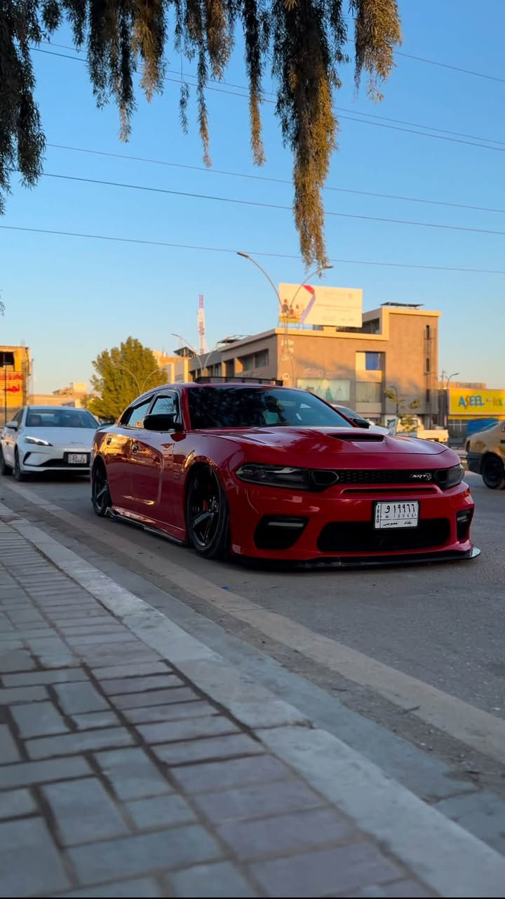 السلام عليكم
للبيع تشارجر SRT392 موديل 2018 اخر موديل SRT
فول مواصفات 
فتحه ، رادار ، حساسات ، كاميرا ، مودات القيادة وباقي مواصفات الـ ￼SRT
ويل نجمة قياس 20 
تايرات جديدة 
حادثها دعاميه اماميه فقط 
كير و محرك كفاله 
تزويد :
منظومة سسبنشن S2 CatBack 
دواخل اضاءة ليد وسقف رولز 
عدسات زرع متغير 
اكزوزت عليه تعديلات بسيطه 
الدبات سود 
سياره جديده بمعنى الكلمة 
-رقم بغداد بأسمي مداور 
مكاني بابل 
للأستفسار الاتصال : ‭***********
