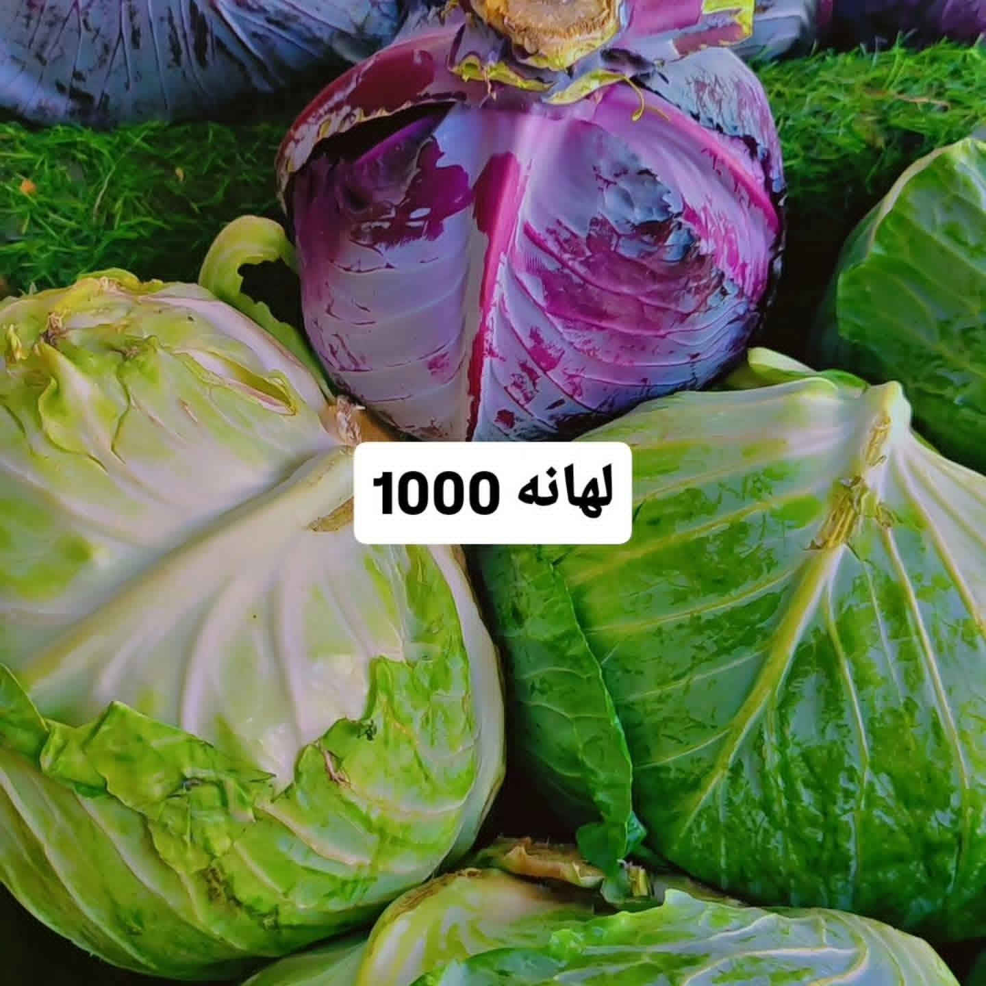 📦 خدمة توصيل + بيع مباشر
🟠🧅 خضروات

بصل اخضر 1500
بصل ابيض 750
🥒 خيار عراقي 1000
🥔 بطاطا درجة أولى: 750
🍅 طماطة عراقيه750. 3بلفين
🍆 باذنجان عراقي 750
🥕 جزر أصفر: 1500
🥬 لهانة بيضة: 1000
الهانه حمره1000
🧅ثوم اصبع 1000
🫑 فلفل اخضر بارد 1500
فلفل حار 3000
🥒شجر 1500
🫛 باميا   تازة كيلو 2.500
طرح 1000
ثوم وزن 4000

🔴 فواكه
🍉ركي ااحمر ك 750 3بلفين
بطيخ 1000
كرز 4000
فطر 2000
عنب عراقي 1.500
🍌 موز : 2000
🍋ليمون اصفر 3000
🍊 برتقال مصري 1500
🍎 تفاح عجم 1500
🔴 تفاح أحمر: 1500
🟡 تفاح أصفر: 1500
خوخ كعكي 2،500
خوخ مسكي 2000
الووووو سوري 2000
خضره 10بلف ريحان بيرده فجل كرفس
🗣طرشي مدبس 1500
🗣طرشي حامض 1500
👤طرشي بل رمان 1500

🔴🥩 لحوم 

🥩 لحم عجل: 14000
🥩 لحم عجل شرح: 15000
🍖 لحم مثروم: 12000

🐓 دجاج حي كبار مع الذبح والتنظيف: 8000

🐟 سمك سمتي عدل: 6000


**إذا كنت صاحب هذا الإعلان وتريد حذفه لأي سبب، رجاءا أرسل رسالة إلى الدعم الفني**