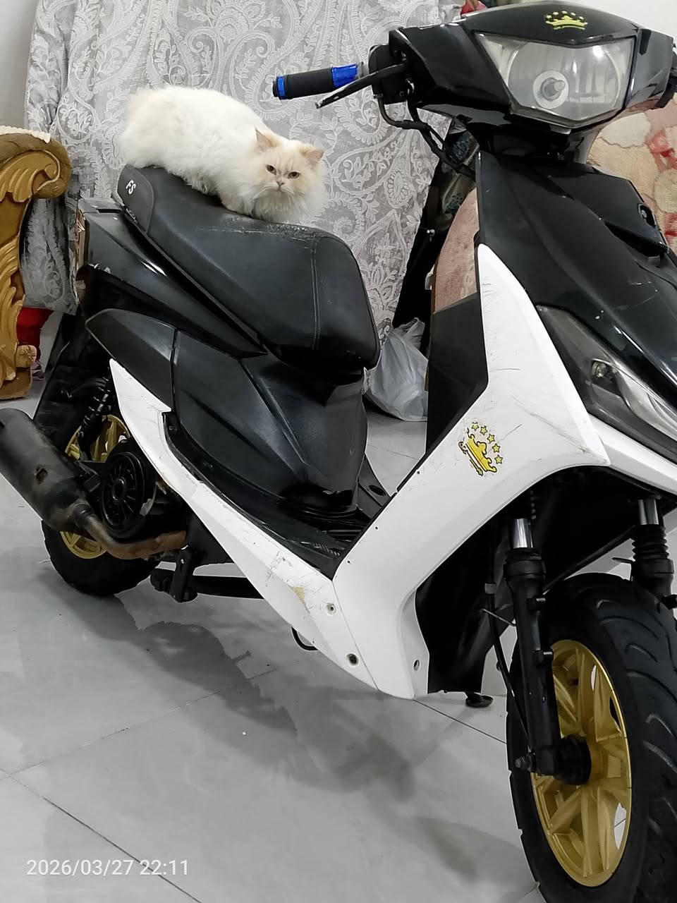 يِّأّ لَلَهّـ سِـلَأّمً عٌلَيِّکْمً وٌرحًمًةّ أّلَلَهّـ
للبيع دراجه اف س 

✓دراجه كلش نضيفه ومرتبه 

✓تخم تاير جديد 

✓وتخم ويل جدد 

✓وكابريتر جديده 

✓وشوته جديده 

✓وقبق كلاجت جديد 
✓مكينه جديده ممفتوحه وناعمه 
✓وسلف جديد 

✓وعرموطه وراجز مال هندر جديد 

✓دراجه كامله 

✓سرعه» 120 «🚀🚀

✓شلعه ومعدل خير من لله 🚀

✓دراجه نضيفه وحلوة 

✓لشراي يتصل عله رقم ويدلل 

✓~((***********))~

✓((السعر ب» 300)) «~

✓عنواني بغداد الاعلام الشباب خاص مفوتح
