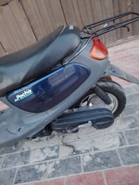 منغوليه نضيفه وصل معرض موجود الشراي يتصل 07706173212