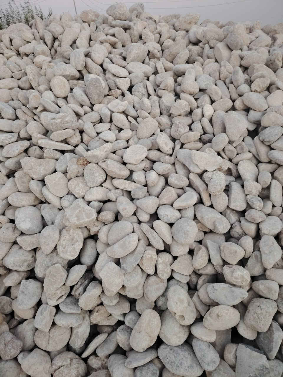 سكله نور الحسين ع

تك جلمود واصل 150الف😒 

تك رمل اسود واصل 130الف
😟 
تك رمل احمر واصل 150
☹️ 
تك سبيس واصل 120
😒 
سكس رمل اسود 250الف

سكس حصو واصل 300الف

سكس سبيس واصل 170

سكس رمل احمر واصل 275

سكس جلمود واصل 280

حمول فول وماد درجه واله

جمودات الغريبه
حصوت الغريبه
رمل جلات
رمل احمر مال نجف
سبيس مال بدرا

تجهيز شركات
تجهيز دوار الدولا
تجهيز مقاولين عامه
المواد شرط مختبر
العنوان واسط ***********
حمول فول شرط

وناخذ بيوت تفليش
حسب الاتفاق
ونجهز ترابيه
زميج تراب حدايق
***********
