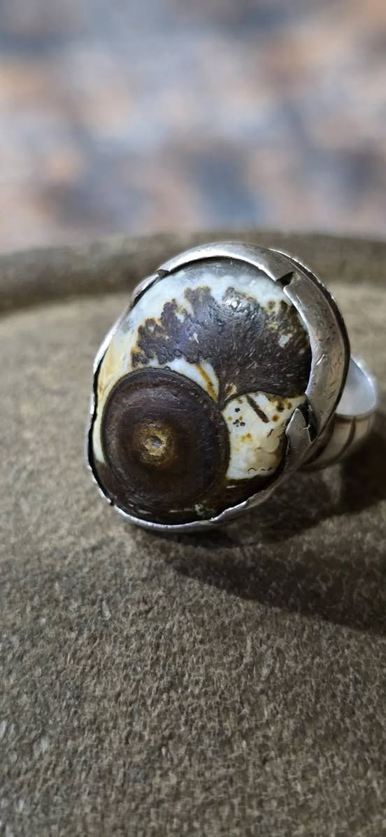 داوودي معطف انتيكه قديم للبيع مكان ميسان


**إذا كنت صاحب هذا الإعلان وتريد حذفه لأي سبب، رجاءا أرسل رسالة إلى الدعم الفني**