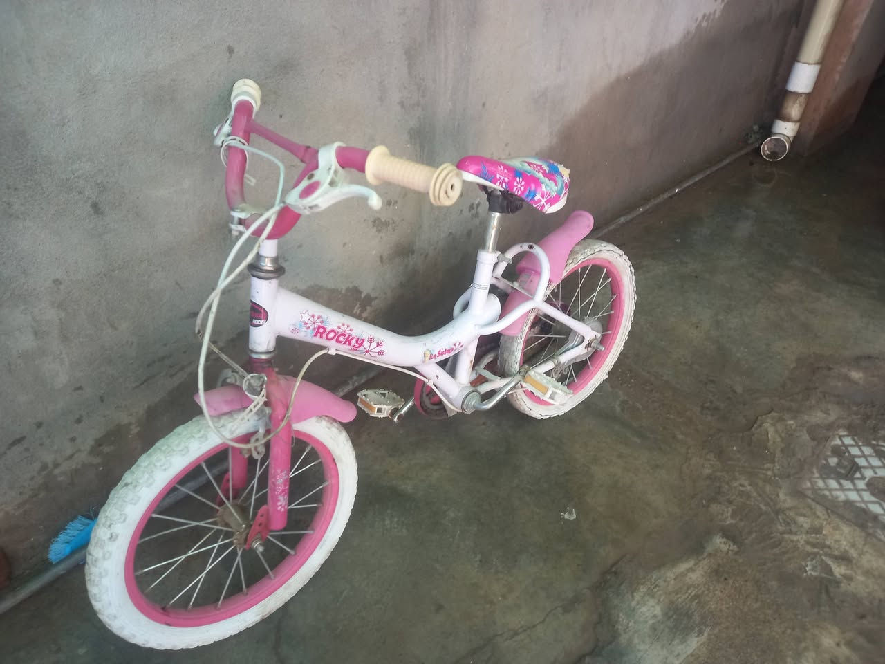 باسكيل بناتي  للبيع  حجم ١٦ اي عيب مابي بس نقص تاير الوره السعر ٢٠ او بي مجال


**إذا كنت صاحب هذا الإعلان وتريد حذفه لأي سبب، رجاءا أرسل رسالة إلى الدعم الفني**