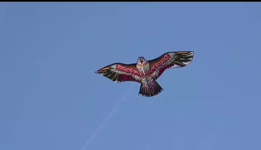 ✨🪁 طائرات ورقية مميزة للأطفال والكبار 🪁✨
استمتعوا بأجمل الأوقات في الهواء الطلق 🌤️🌈
نوفر لكم طائرات ورقية حجم كبير (متر و40 سم) 📏
🧵 مع خيط بطول 50 سم
🐦 أشكال طيور جميلة تحاكي الطبيعة
🎨 ألوان جذابة ومبهجة تلفت الأنظار
💨 خفيفة وسهلة الطيران
👨‍👩‍👧‍👦 مناسبة للأطفال والكبار
🎁 مثالية للنزهات 🏕️ والرحلات 🌿 والهدايا 🎉
سعر القطعة 5000 آلاف دينار ( متوفر جملة ومفرد)


**إذا كنت صاحب هذا الإعلان وتريد حذفه لأي سبب، رجاءا أرسل رسالة إلى الدعم الفني**