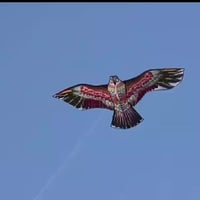 طائرات ورقية • مقاس 1.4م • للصغار والكبار