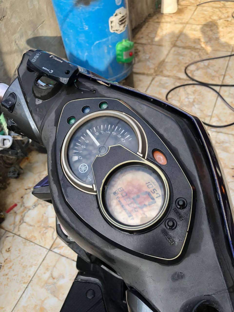 سكنس فحل للبيع الاستفسار والاتصال على هذا الرقم *********** الاتصال واتساب والسعر 700
