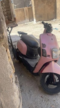 بوليس • نضيفه • بدون اشاير