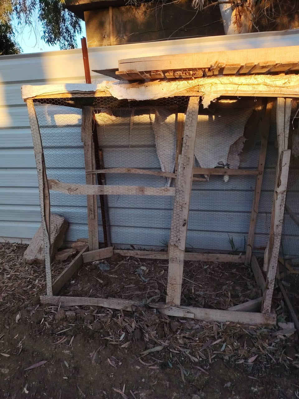 متوفر اقفااص لل بيع 
***********
***********
