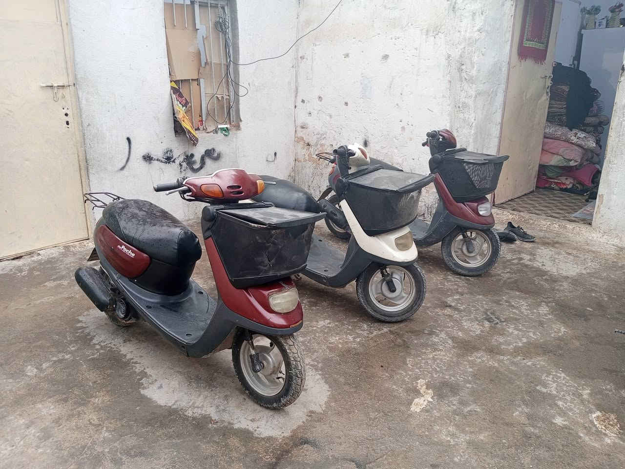 ***********ردراجات منغولي 2003 دراجات كله شغال العنوان كربلاء حي الغدير سعر 350 وبيهن مجال بيهن مجال العنوان كربلاء حي الغدير
