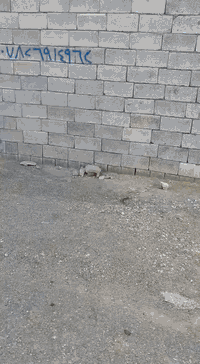 قطعه البيع مجمع الكلابي مساحه 200 يم تارتان حيدر الكلابي الشراي يتصل عله هاذه الرقم *********** ويكون تحويل فوري المشتري
