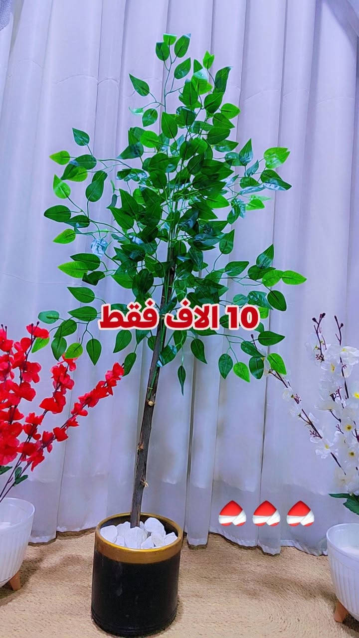 للحجز و الاستفسار مراسلة الصفحه


**إذا كنت صاحب هذا الإعلان وتريد حذفه لأي سبب، رجاءا أرسل رسالة إلى الدعم الفني**