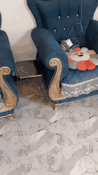 للبيع تخم جديد هو ومقاعد 6العنوان الكريمه السعر 500وبي مجال ***********عشر مقاعد
