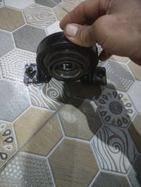 شيال كاردان • ارنب اصلي