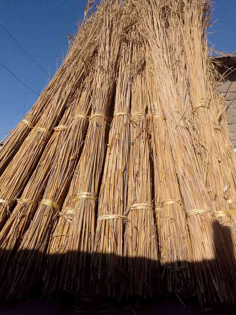 سلام عليكم يتوفر شباب وتباره ومناسبه ***********
