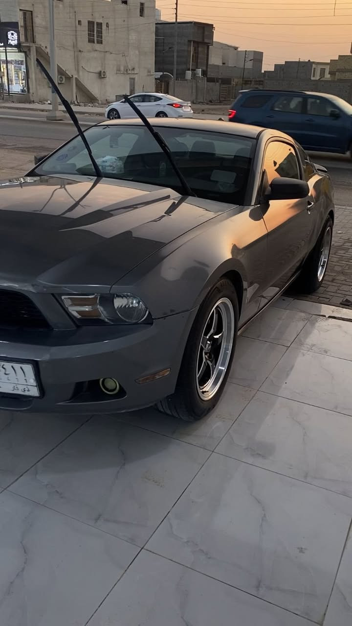 سلام عليكم موستنك v6مديل 12مصبوغه حزام كير محرك كفاله حداده جديده كامله دواخل نضيف كلش سياره جاهزه من كلشي سنويه ل 26اليف صاحبه بلبصره وياله جدد تايرات جدد سياره كلشي ع لبلاد سعر 78
لاستفسار  ***********
