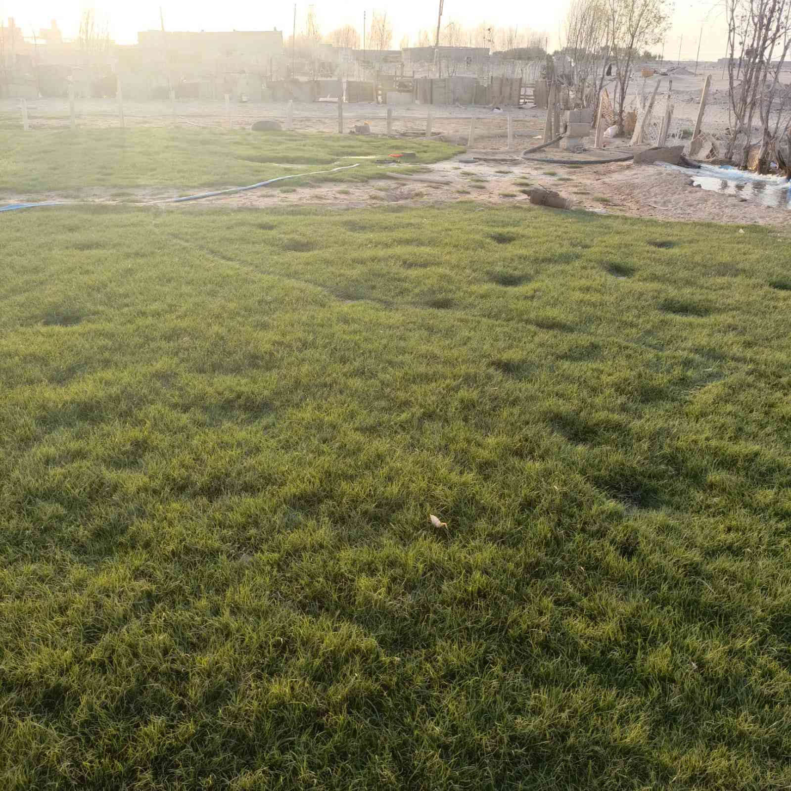 سلام عليكم بيت للبيع مساحه 1250 بيت غرفتين وصاله وديوان صحيات حديقه نخل وثيل بزبير غرب بير عشرين *********** ❤️
