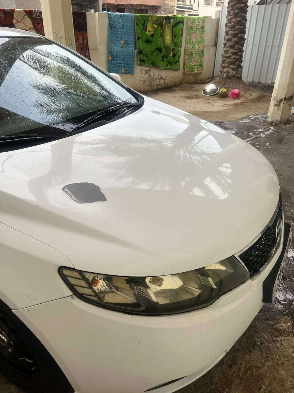 مكلف بالنشر 
السلام عليكم من رخصة الادمن 
سيراتو خليجي 2012 كفالة من الضربة والصبغ كير ومحرك مكفول صدر حدادية تخم تاير كلة جديد بيها صبغ قليل كما موضح بالصورة السعر 105 بيها مجال بسيط 
للاتصال *********** وتساب
