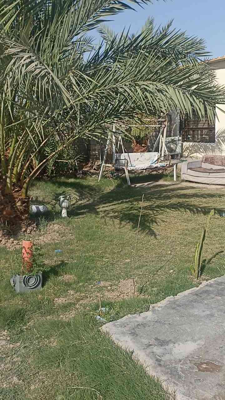 دار للبيع زراعي المساحه 800متر يتكون من استقبال ومطبخ وصاله وثلاث غرف نوم مع حدائق كبيرة اماميه عدد اثنين وحديقه خلفيه السقف سندويج السعر 75وبي مجال  المكان تقاطع النهروان مشروع تسعه نيسان مقابل حسينيه احباب الحسين الجاد بلشراء يتفضل خاص او يتصل على الرقم ***********
