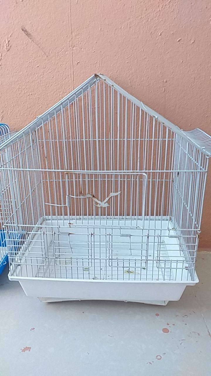 للبيع شراي يتفضل


**إذا كنت صاحب هذا الإعلان وتريد حذفه لأي سبب، رجاءا أرسل رسالة إلى الدعم الفني**