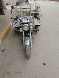 ستوتة ام الطير • موديل 14 • اوراق موجودة