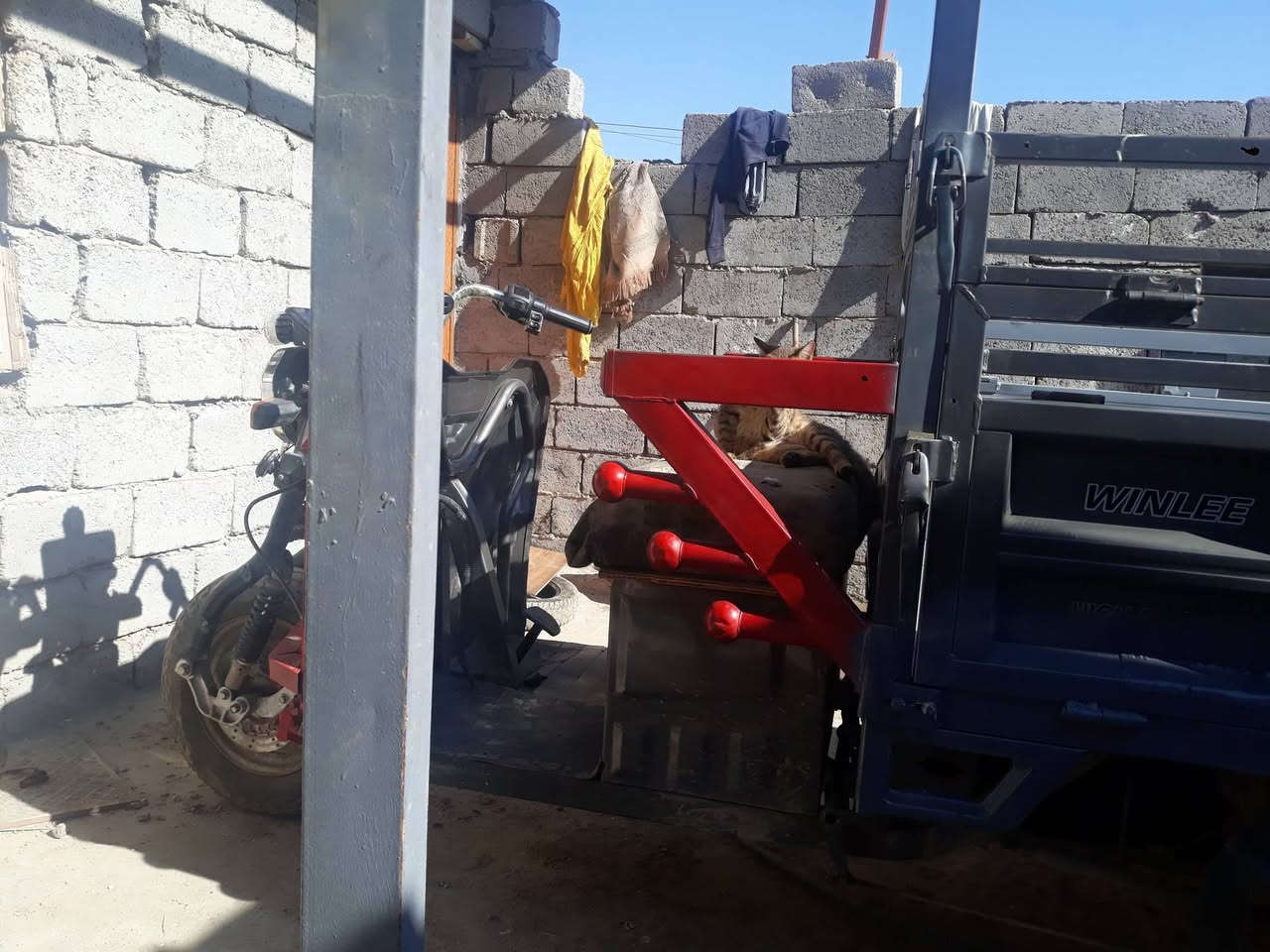 ستوته شحن ٥باتري دبل كبار بحاله جيده ٧٠٠ وبيه مجال ***********
