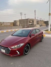 النترا • ٢٠١٧ • وراد امريكي