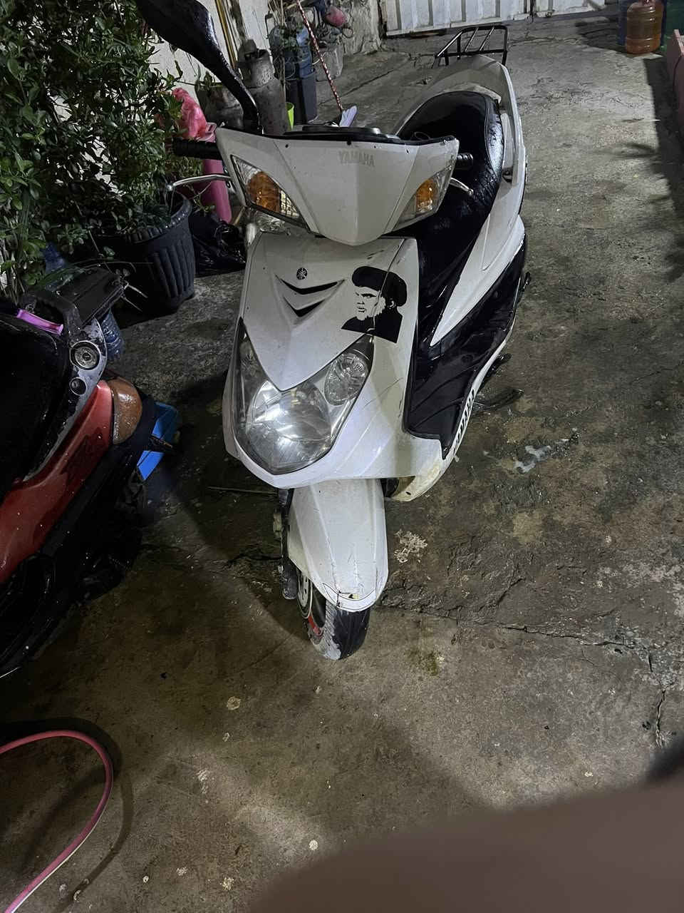 سلام عليكم سكنس فحل  مكينه خير من الله ناعمه كلش  .بيها شغلات بسيطه جدا الله شاهد دراجه مال جني .
مراوس ب ماكس عدله او بيع ب550 
مكاني الشعب *********** مامتواجد علفيس
