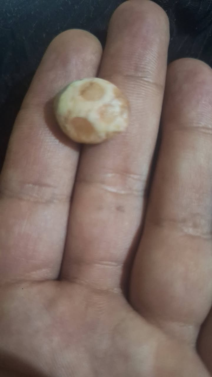 احجار عطف نادرة


**إذا كنت صاحب هذا الإعلان وتريد حذفه لأي سبب، رجاءا أرسل رسالة إلى الدعم الفني**