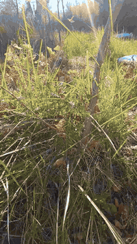 للبيع 
بستان
مساحه (دونم )
السنيه
طريق الزوار 
مزروع 
تين 
رمان 
عنب 
عرموط 
متوفر كافة الخدمات 
يبعد عن الشارع ٢٠٠ متر
للاستفسار مراجعه مكتب السنيه للعقار 
قرب جامع السنيه الكبير
***********
