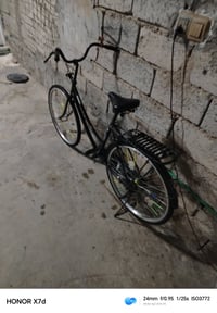 باسكل • سونتوس • وارد حاوية