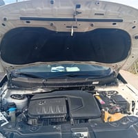 بايك • كفالة عامة • الديوانية