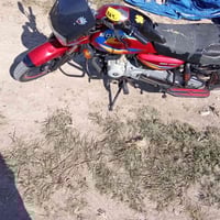 بوكسر • ٢٠٢٢ • أوراق كاملة