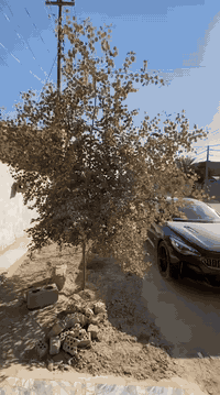 دار للبيع المساحه ٢٠٠م مقابل أسواق باب الحاره نهاية حي الأنوار طريق تجاري تتألف من ٢ غرفة نوم استقبال  ..صاله .مع مطبخ كما موضح بالفديو..
هاتف ***********
السعر ١١٠ مليون..
