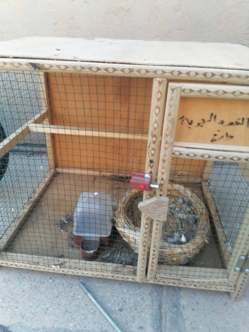 السلام عليكم ورحمة الله وبركاته
باسكلات عدد ٢

خانه طيور جديدة صار اسبوع من اشتريتها

السعر بالخاص
مدينة الصدر


**إذا كنت صاحب هذا الإعلان وتريد حذفه لأي سبب، رجاءا أرسل رسالة إلى الدعم الفني**