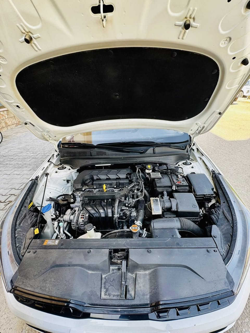 مراوس بسيراتو احصل***********
