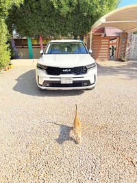 سورنتو وارد خليجي محرك6مديل23 رقم بابل بسمي تحويل مباشر بيها بنيد مبدل...