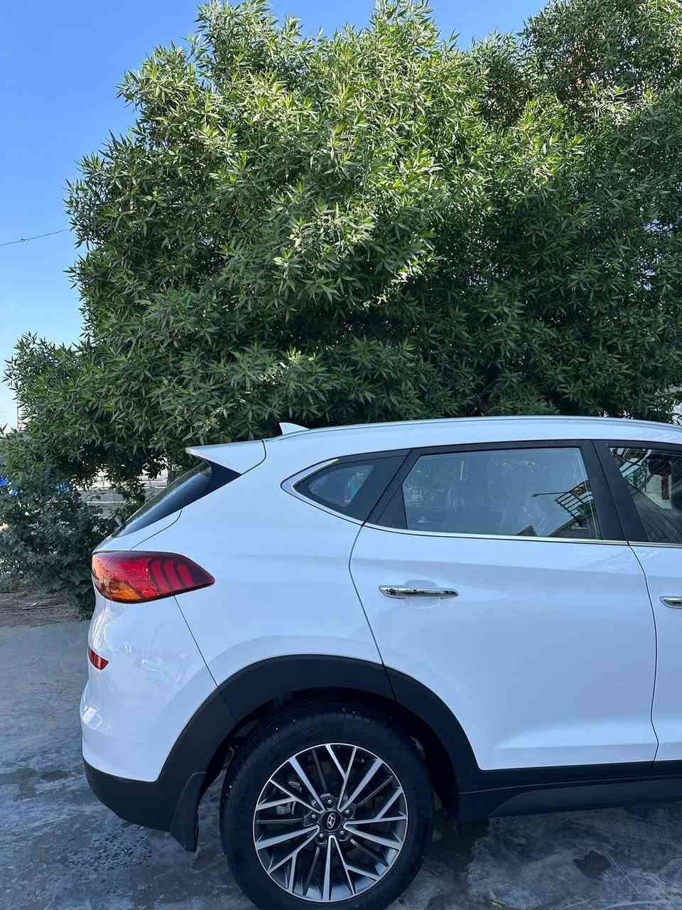 سلام عليكوم توكسان 2019 كوري اصلي رقم سليمانيه هزا سنويه مجدد حد ٢٠٣١ بسمي موصفات كوري معروف فَول فول عده فتحه ماشيه ٨٠ الف كفاله صبغ بارد تبديل كله وضع شركه من  شركه اني مستلمه علا ايدي جديد حيل بل عافيه علا مشتري مكان سياره كركوك سعر 208وبي مجال ***********
