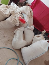 جص • ١٢ قطعة • بلاش