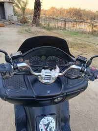 فورزه 08 • شغالة • الغراف